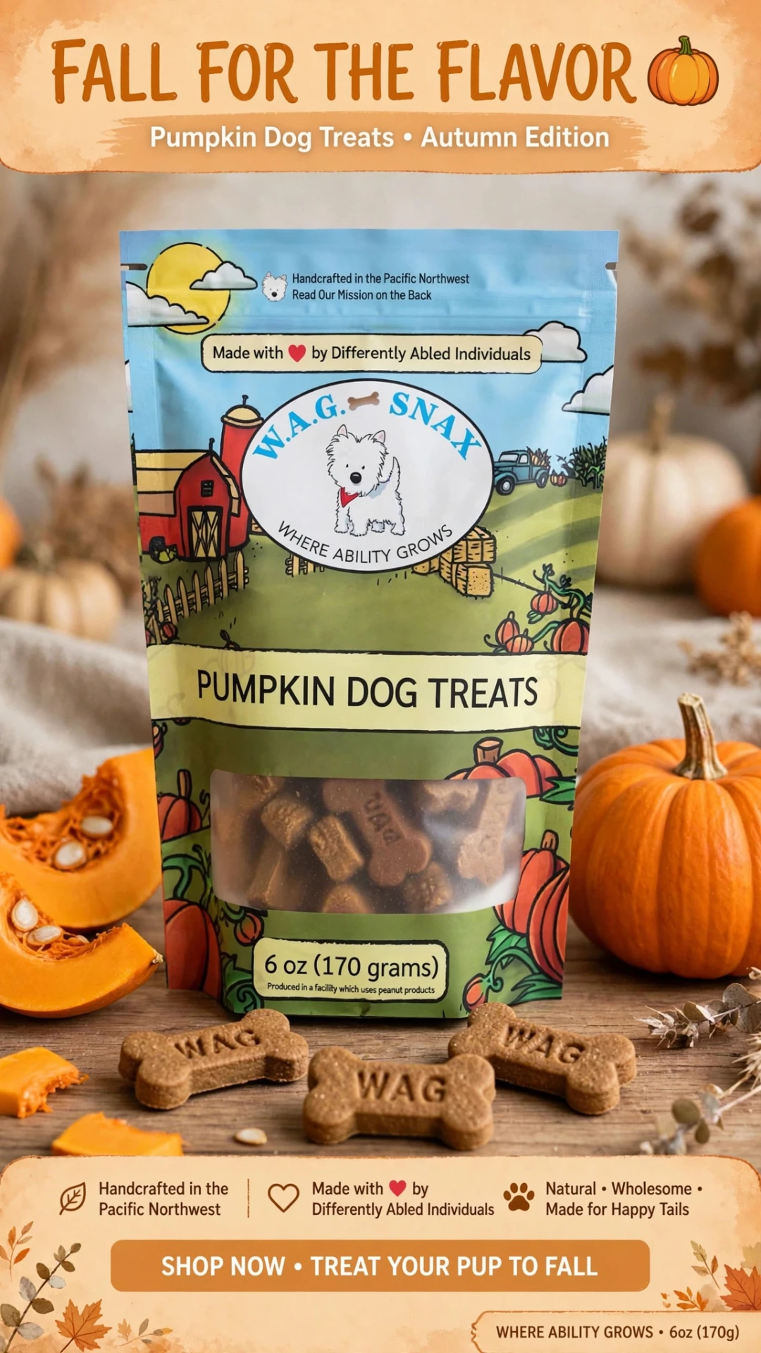 Pumpkin Dog Treats